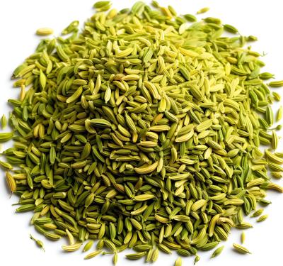 Fennel Seeds: Health Benefits, Uses and How Sri Herbal Makes Them